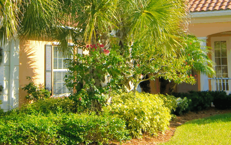 lawn in Tampa under warm sunny skies