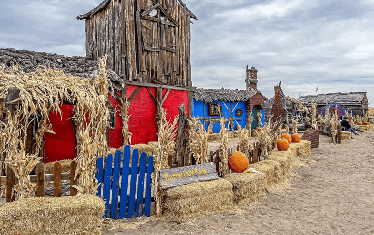 Pumpkin patch and hayride for fall activities in Denver Colorado