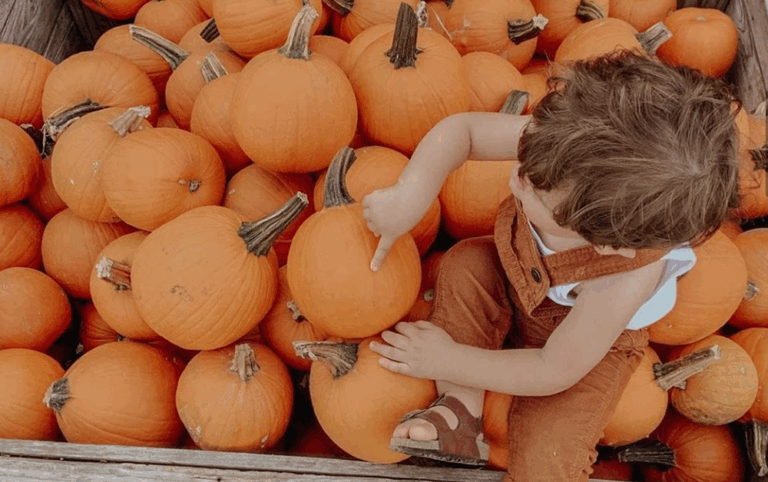 Young child surrounded by pumpkins at a festive fall pumpkin patch in Kansas Cit