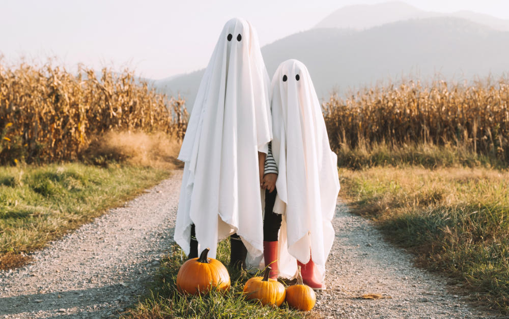Two people wearing simple white sheet ghost costumes stand on a gravel path beside several pumpkins, with a cornfield and distant mountains in the background on an autumn day.
